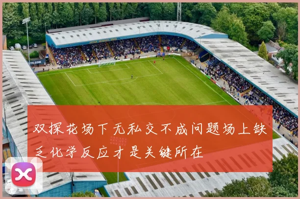 双探花场下无私交不成问题场上缺乏化学反应才是关键所在