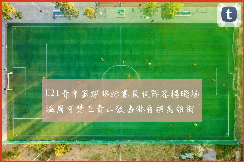 U21青年篮球锦标赛最佳阵容揭晓杨溢周可梵王青山张嘉琳蒋祺禹领衔出战