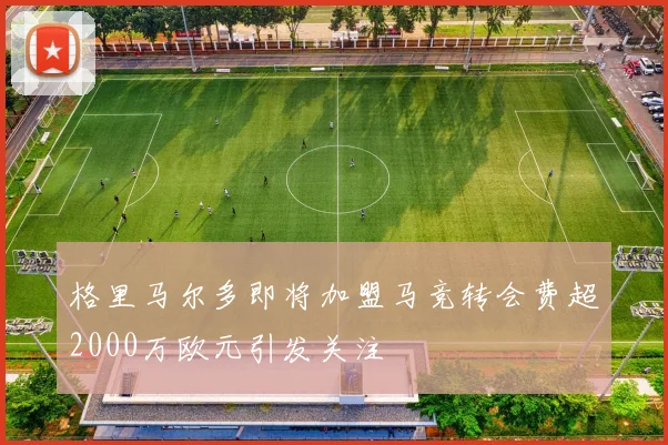 格里马尔多即将加盟马竞转会费超2000万欧元引发关注